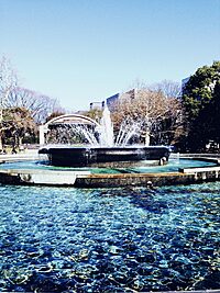 📸初心者、中級者歓迎📸日比谷公園～愛宕神社で撮影会🌸✨
