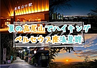 【20-30代 一部40代もOK】夏の夜にハイキングをしながら流星群を眺める