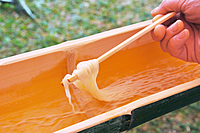 7/6（土)夕方【都内で流しそうめん会！】