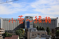 【足立区民主催🎉🎉🎉】小菅から綾瀬を散歩してみよう【新撰組要素あり】