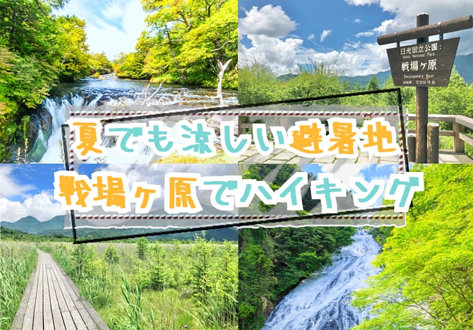 【20-30代 一部40代もOK】夏でも涼しい避暑地の戦場ヶ原でハイキング