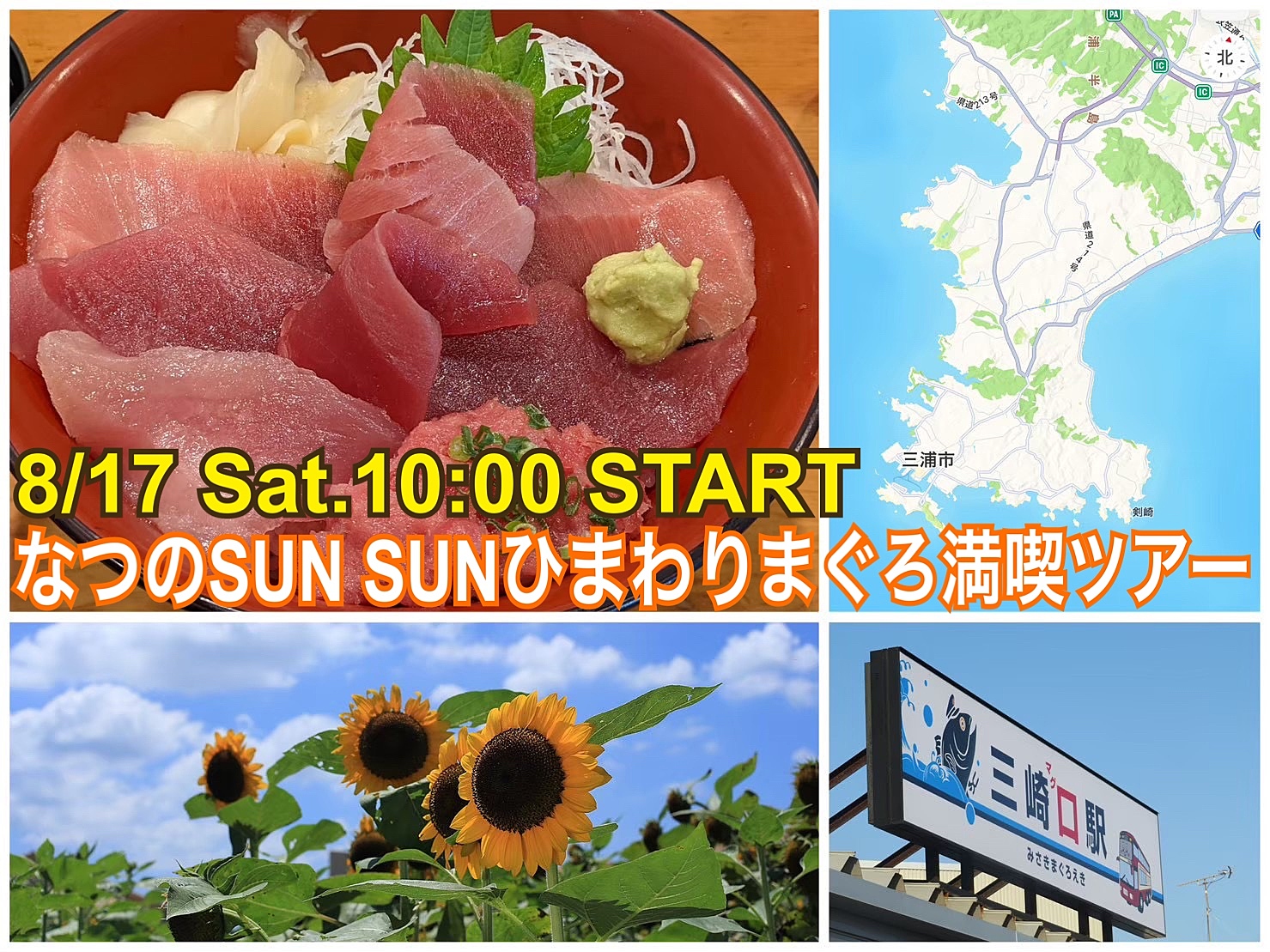 【開催日は晴れ予報】夏のSUNSUN🌻ひまわりまぐろ🐟満喫ツアー