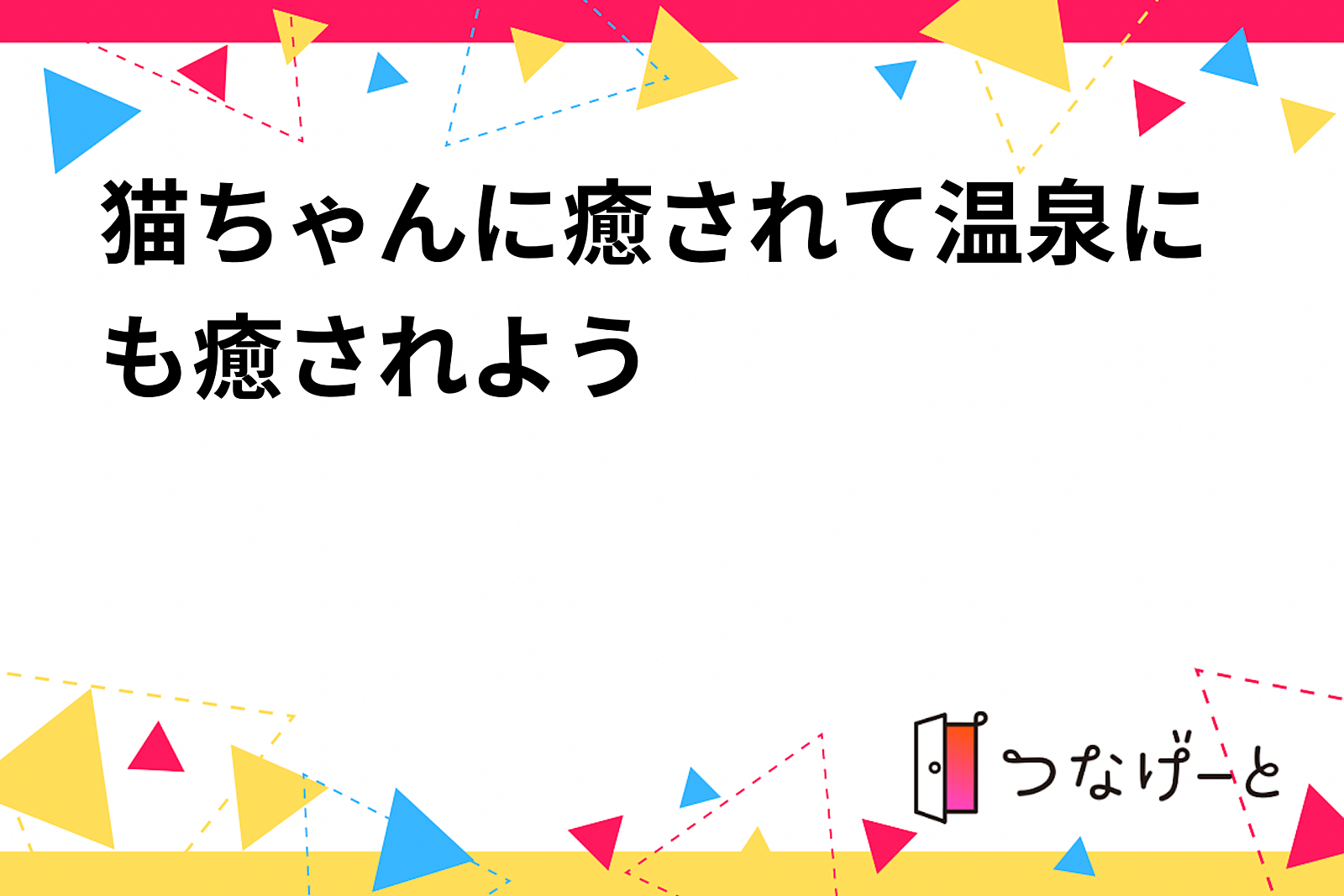 猫ちゃんに癒されて温泉にも癒されよう♨️