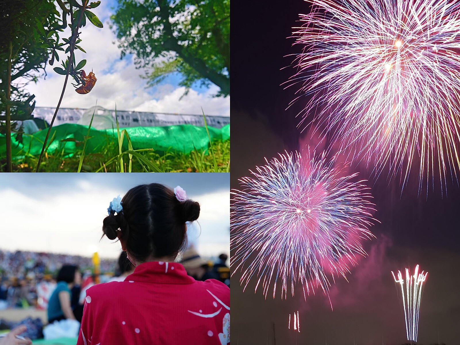 【9名参加】7/20(土) 足立の花火オフ🎆