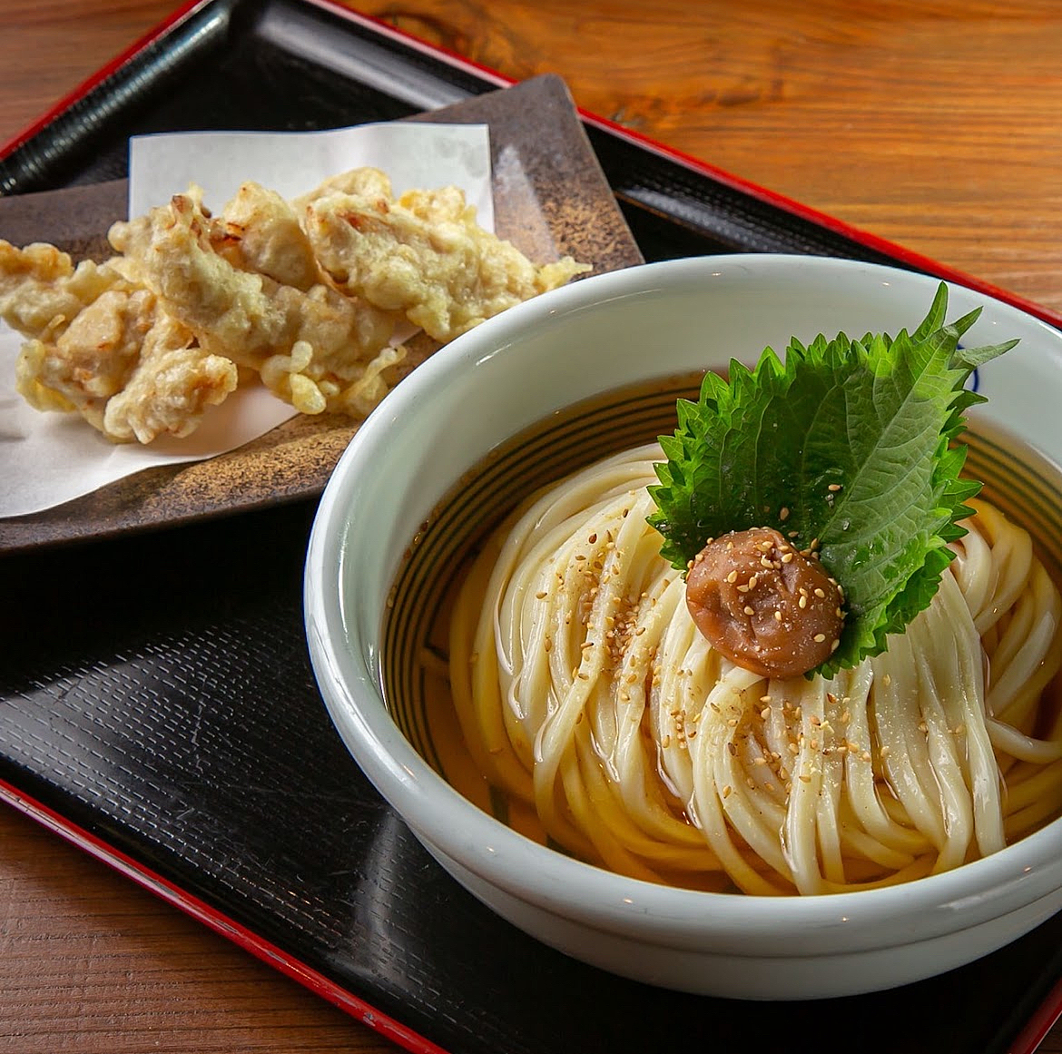 【20〜30代】一緒にうどんを食べましょ😌