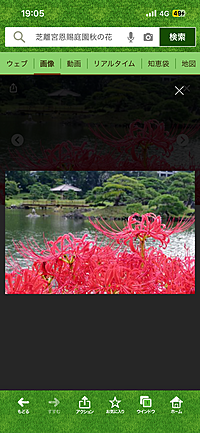 【庭園の美しさをカメラ📷で撮影会🌸彼岸花イベント🌸🌺