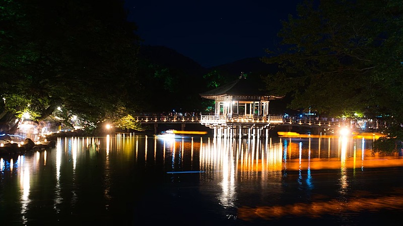 【スマホ歓迎！】灯りに彩られた奈良公園に行こう！