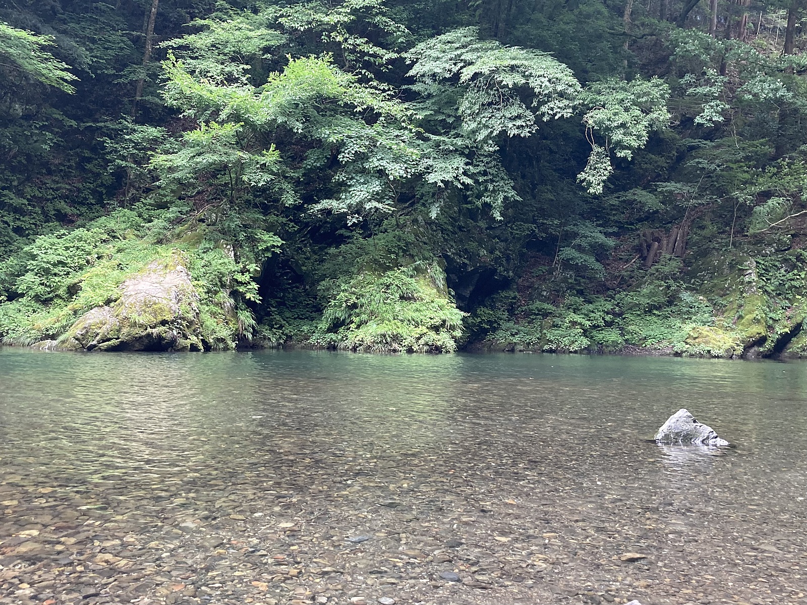 夏本番！☀️奥多摩の大自然の中で川遊び&写真を撮ろう📸