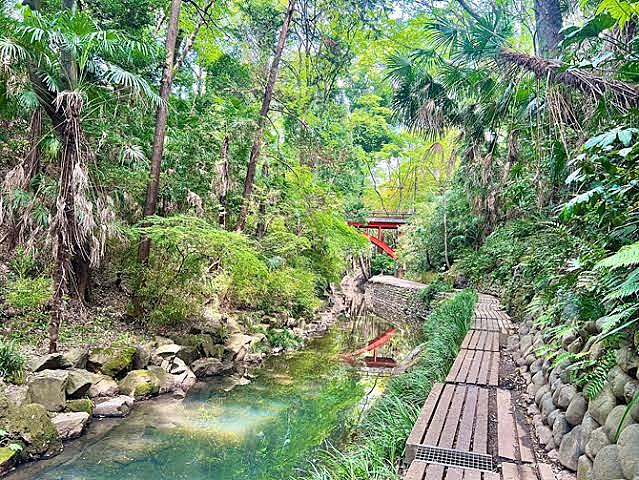 等々力渓谷🏞️ウォーキング🚶✨