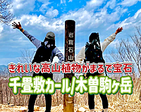 9/7.8 ◎一泊二日◎千畳敷・木曽駒ケ岳にみんなで行こう！