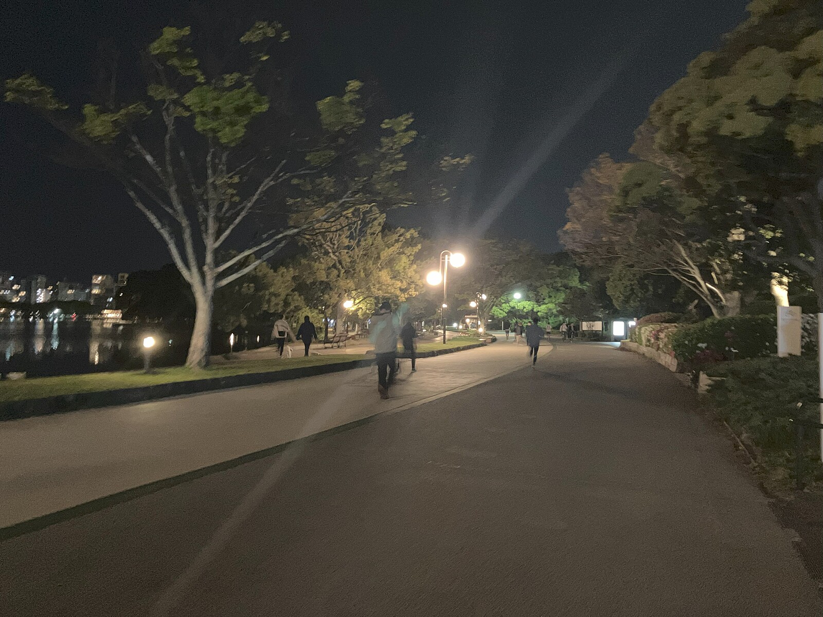 8/4(日)🔰 20:00～21:00アオハウォーキング🚶‍♂️