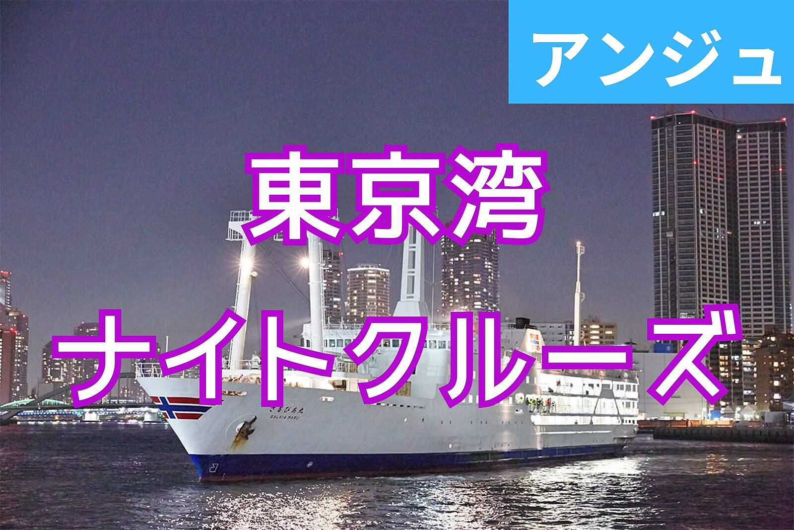 《30代40代》東京湾ナイトクルーズ✨ベイブリッジ～お台場の夜景✨