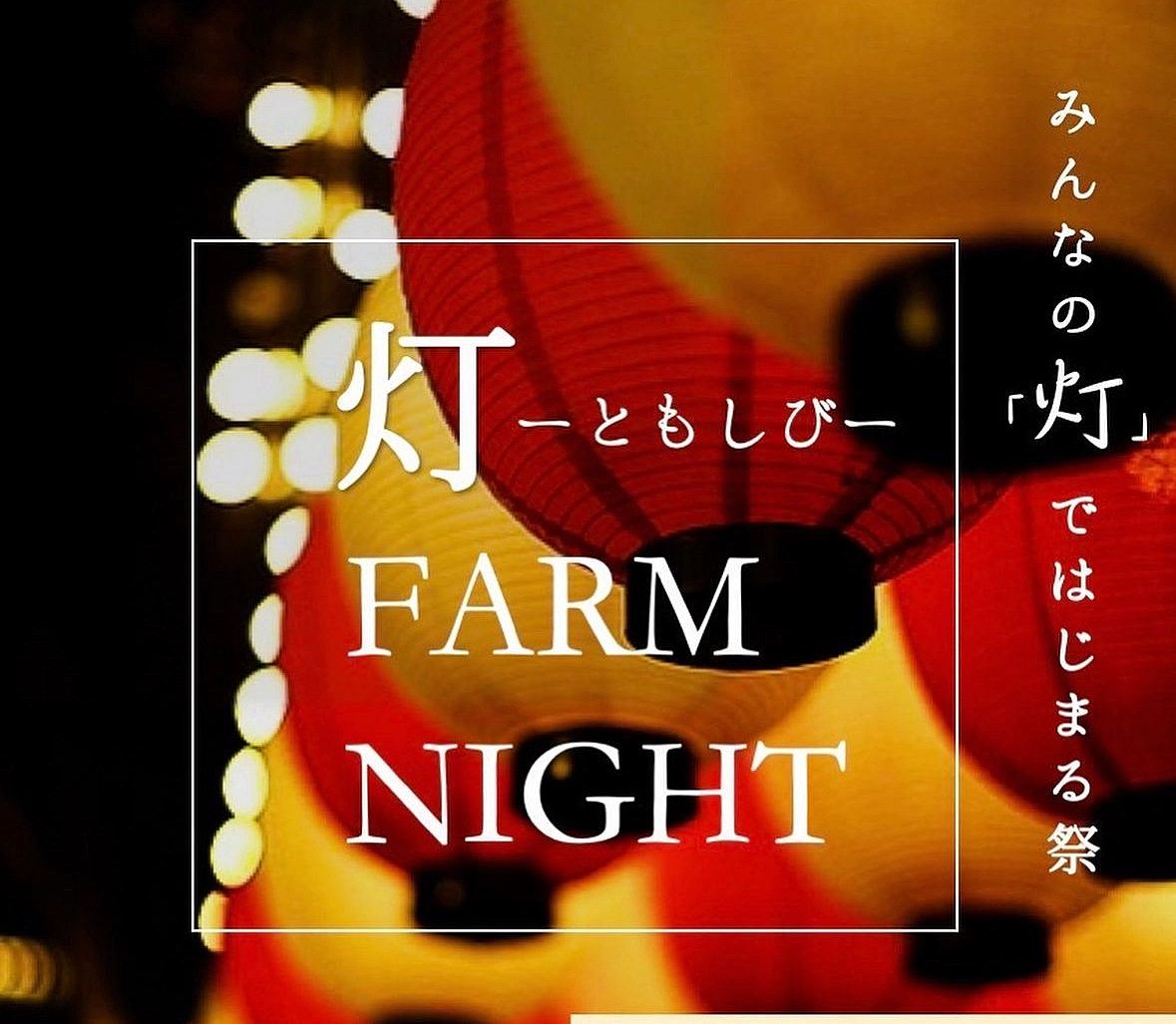 キャンプファイヤー、花火、祭りが1度に楽しめる！！夜の牧場で特別な体験をしよう🍻🏮