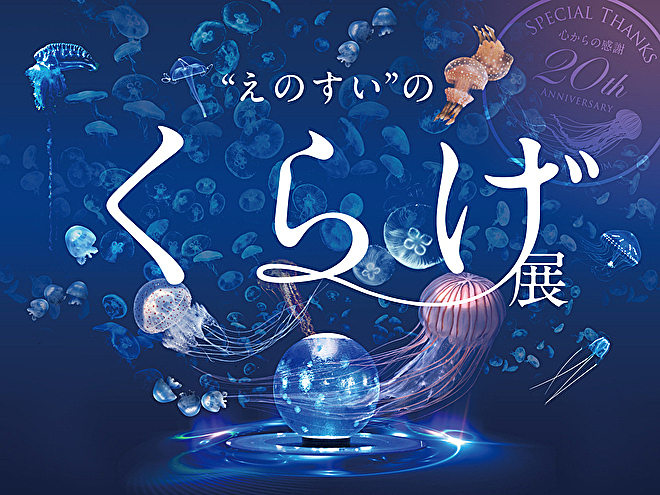 【期間限定】新江ノ島水族館のクラゲ展を見にいこう❗️【7/28】