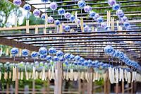 日帰り写真旅♪【風鈴撮り行く☆】スマホ参加もOK