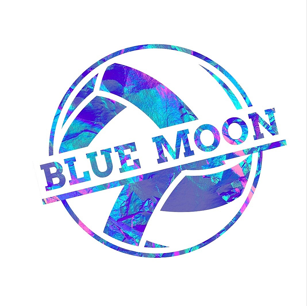 BLUE MOON  社会人バレーボールチーム