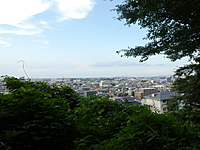 東生田緑地の竹林をウォーキングしよう