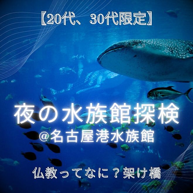 【20代,30代限定】夜の水族館探検