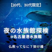【20代,30代限定】夜の水族館探検