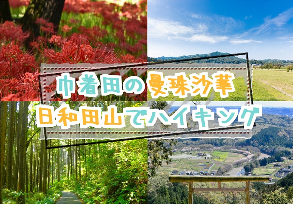 【20-30代 一部40代もOK】初心者でも歩ける巾着田の曼珠沙華と日和田山のハイキング！