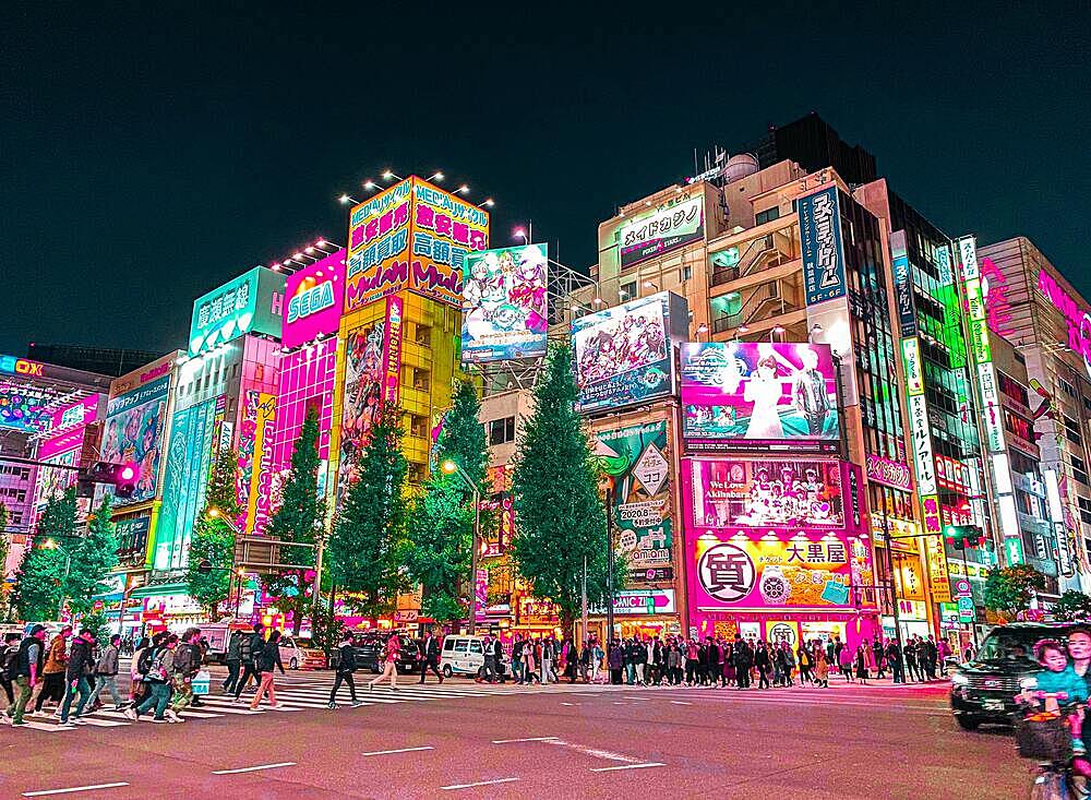 【参加費無料実施中】浅草〜隅田川〜秋葉原 ナイトウォークで都会の夜景を満喫しよう🌃🚶