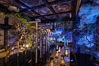 目黒雅叙園　和のあかり×百段階段で写真を撮ろう📸