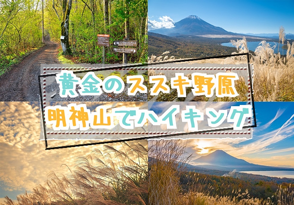 【20-30代 一部40代もOK】ススキ野原の絶景が広がる明神山でハイキング