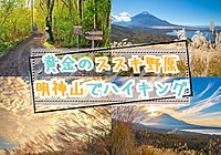 【20-30代 一部40代もOK】ススキ野原の絶景が広がる明神山でハイキング