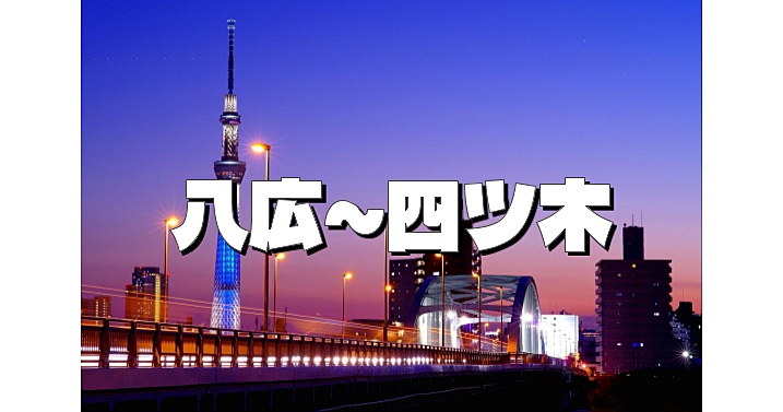 八広から四ツ木まで、荒川を歩いて渡ります。