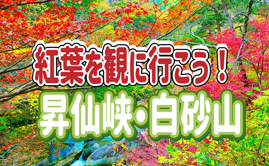 11/9 🔰紅葉の季節に人気の『昇仙峡』に行こう！