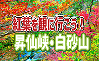 11/9 🔰紅葉の季節に人気の『昇仙峡』に行こう！