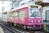 あつまれ！！旅行好き🚅都電で行く🚊絶品！ハンバーグ😋
