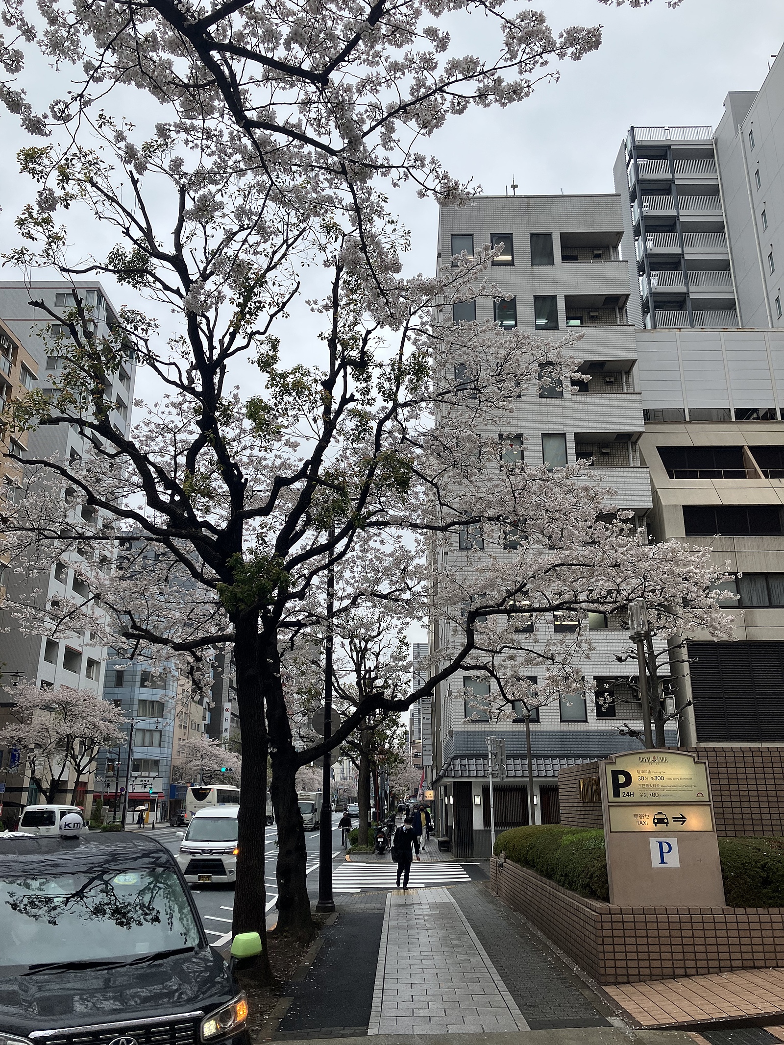 関西人で飲み会（20代、30代）