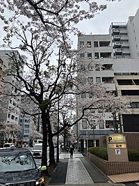 関西人で飲み会（20代、30代）