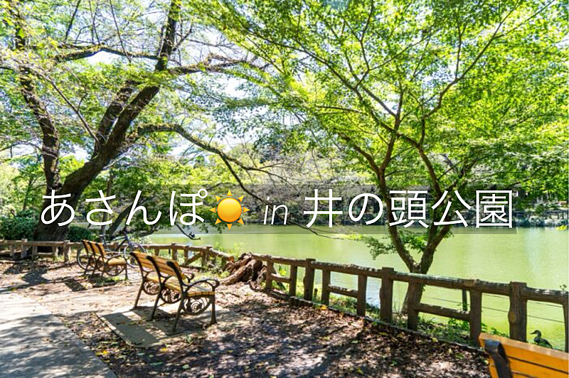 【女性主催】井の頭公園ウォーキング☀️🌱ｘ朝ごはん会