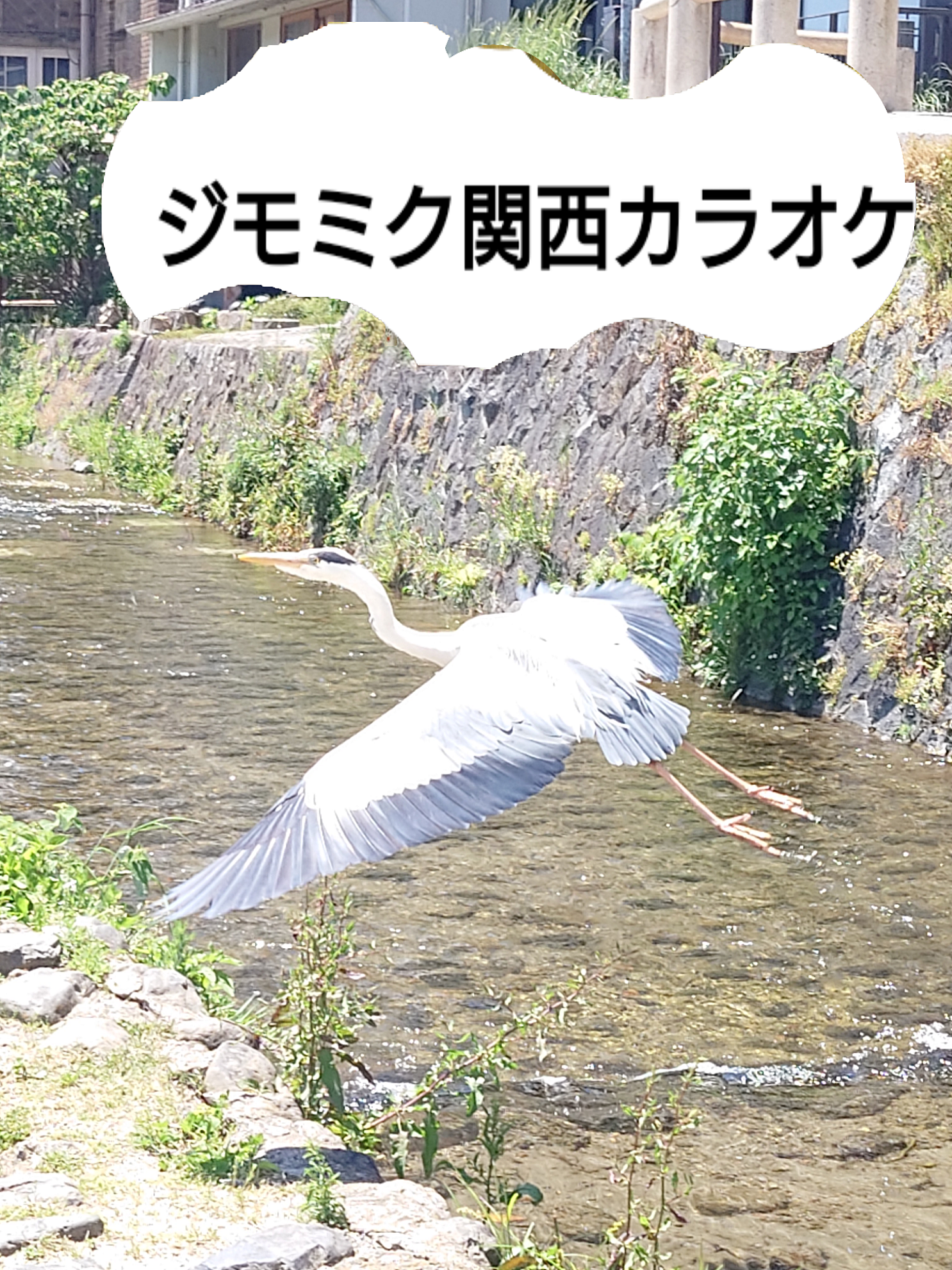 ジモミクカラオケオフ会♪年齢も選曲も性別だってフリーなオフ会です♪