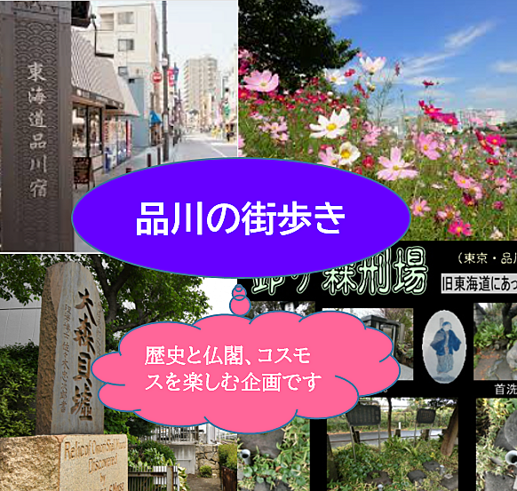 【(2回目)歴史とコスモスを楽しむ】品川と旧東海道の街巡り（説明・解説有り）