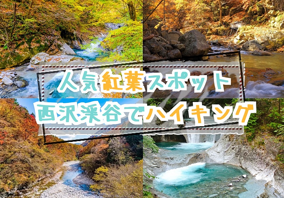 【20-30代 一部40代もOK】山梨県で1、2を争う人気の紅葉スポットでハイキング