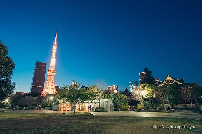 【20代限定✨】芝公園をナイトウォークして、そのまま近くで飲もう！【第1回】