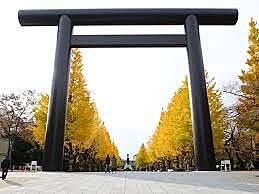 靖国神社紅葉散歩！東京散策も楽しもう！フォトジェニックな秋の一日🐿🌰🍁🍂