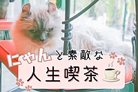 ニャンと素敵な人生喫茶🐾☕猫店長のいる純喫茶でゆるく人生について語る会