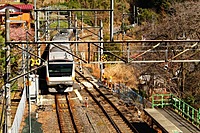 【20代主催】東京アドベンチャーラインで行く秋の奥多摩途中下車の旅🍂