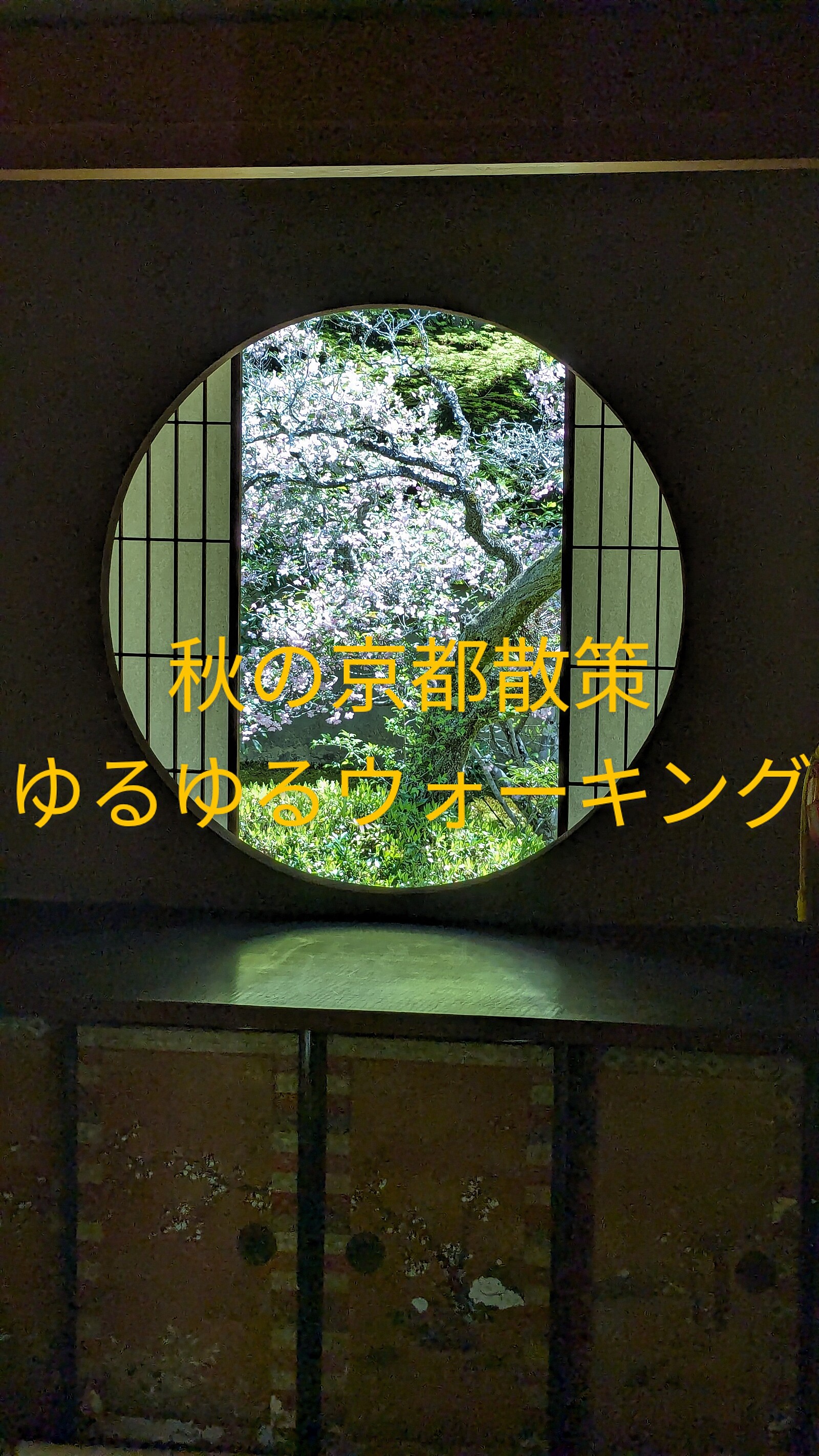 ☘️秋の京都散策　雲龍院〜瀧尾神社🌿