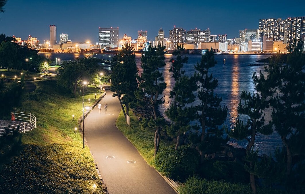 [早割あり] お台場の夜景を見ながらウォーキング＆写真撮影しよう！