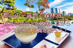 【20代〜30代前半限定】浜離宮庭園を散策！秋の始まりを感じながら交流しよう