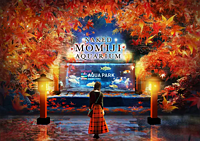 ゆる写活📷紅葉水族館×カフェ会🍁