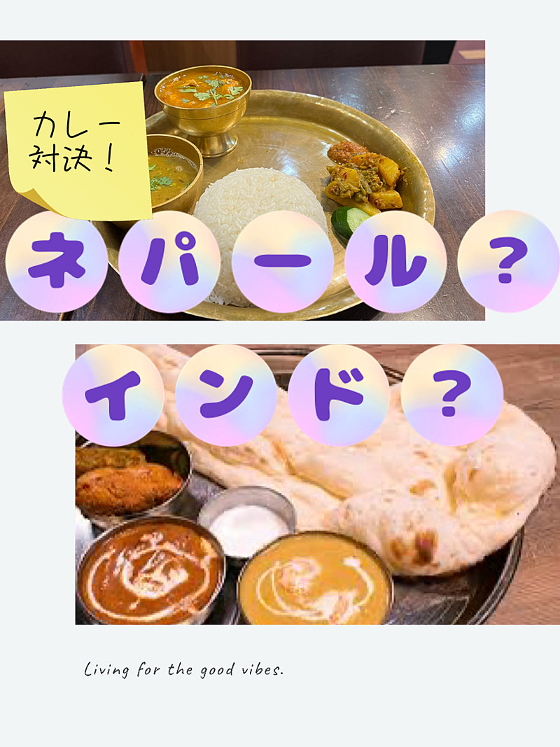 ネパール&インドランチ【新店舗開拓！新大久保Fewa】