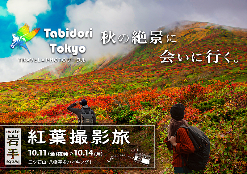 【東北の紅葉🍁】秋の絶景を楽しむ紅葉撮影旅 in東北（岩手中心）📸✨【10/11（金夜）～10/14（月祝）】