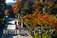 【初心者さん向け】秋の鎌倉紅葉ハイキング【登山相談も受け付けてます】