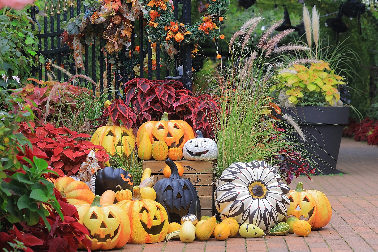 横浜イングリッシュガーデンでハロウィンの写真を撮りに行こう🎃📸